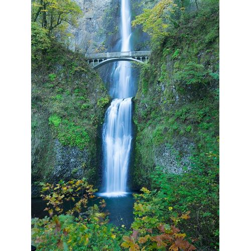 Wild, Jamie and Judy 아티스트의 Oregon-Columbia River Gorge National Scenic Area-Multnomah Falls작품입니다.